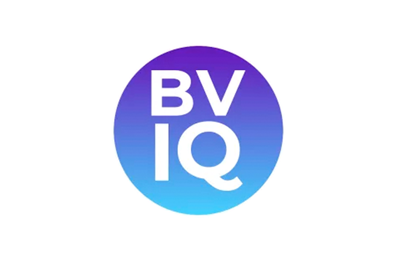 logo bviq